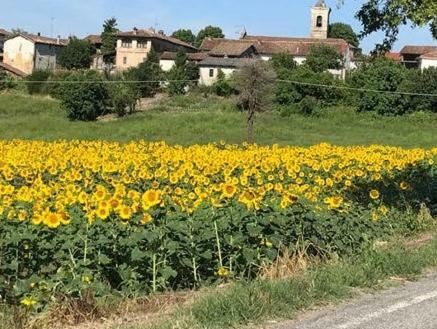 Casa Serena Solonghello Buitenkant foto